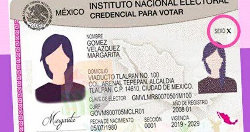 INE aprueba credenciales para votar para personas trans