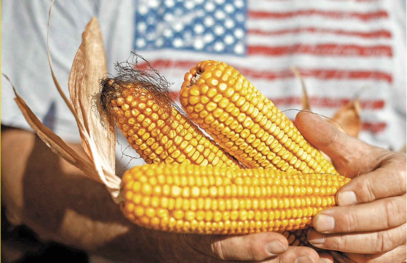 Canadá se une a Estados Unidos en disputa por maíz transgénico con México