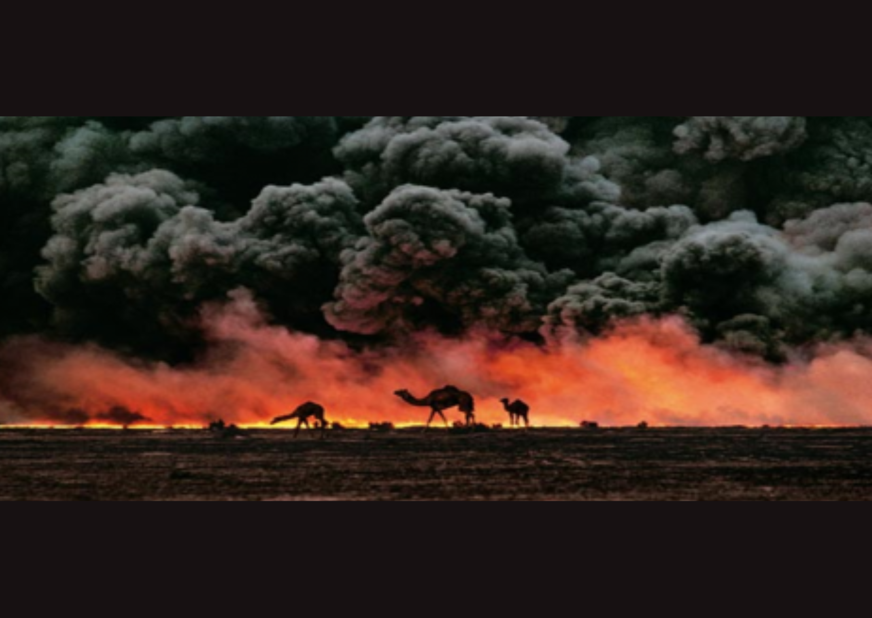Los Impactos Ambientales de la Guerra: Tierras de Cultivo Destruidas y Recursos Naturales Agotados