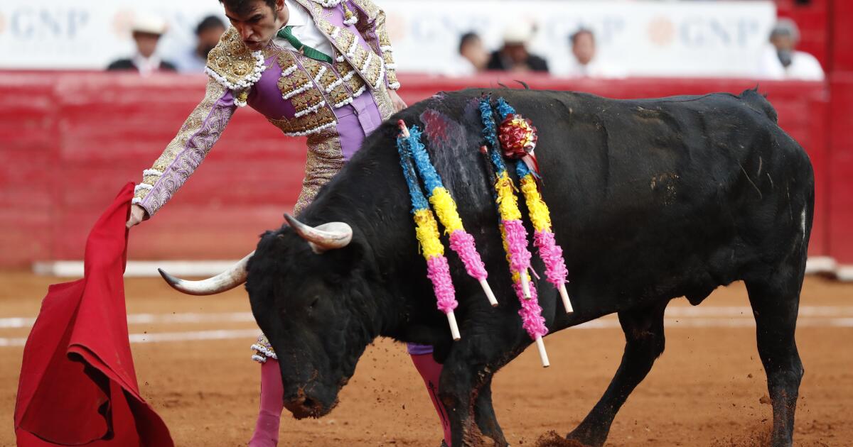 Suspendidas corridas de toros en la Benito Juárez por orden Judicial