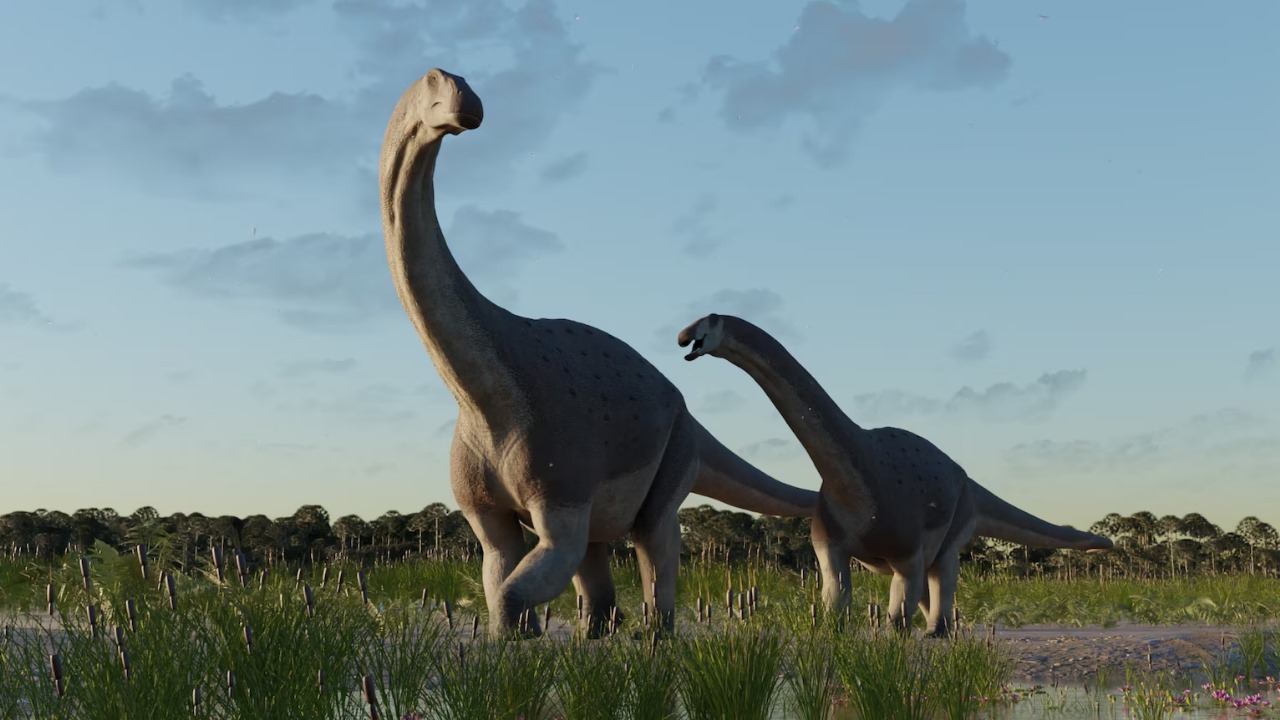 Hallazgo en Patagonia revela nuevo Titanosaurio: El «Titanomachya Gimenezi» del cretácico
