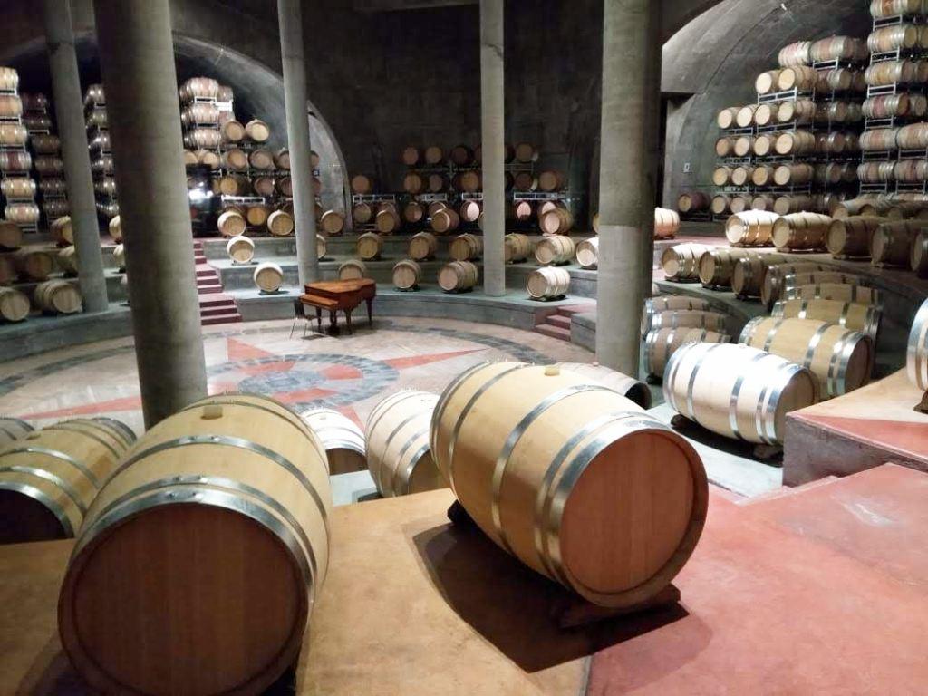 Conoce la ciudad de Mendoza en Argentina: Donde el vino cuenta su propia historia