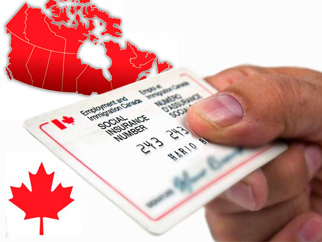 ¿Tu apellido podría darte la ciudadanía canadiense? Descubre cómo