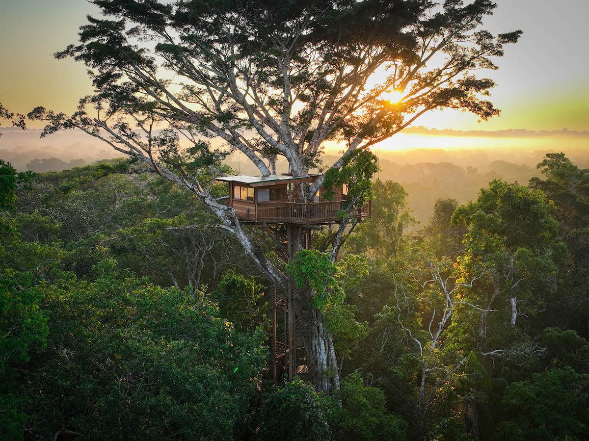 Alta Sanctuary: La Casa en el Árbol Más Alta del Amazonas Combina Ecoturismo y Conservación