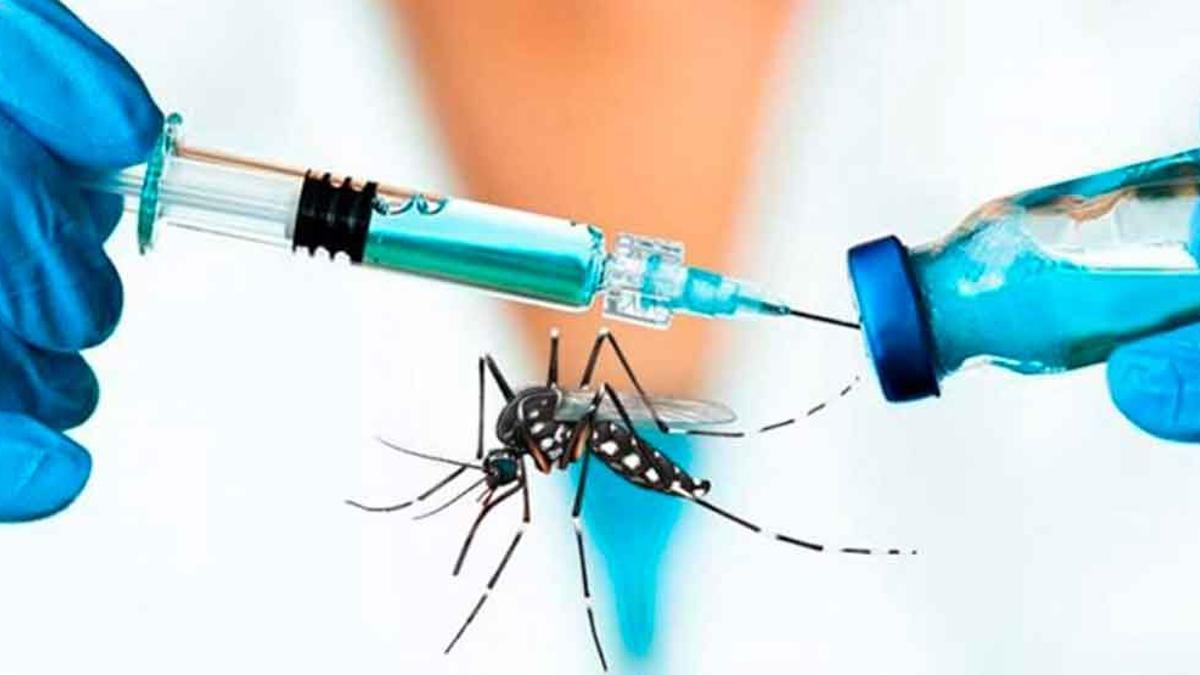 Avance científico esperanzador: OMS valida nueva vacuna contra el dengue