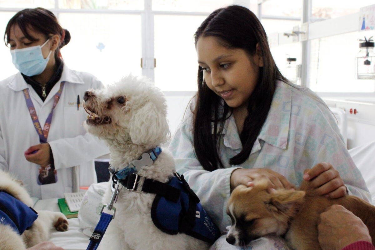 36,884 terapias con perros: Hospital Pediátrico Coyoacán ayuda a niños gratis