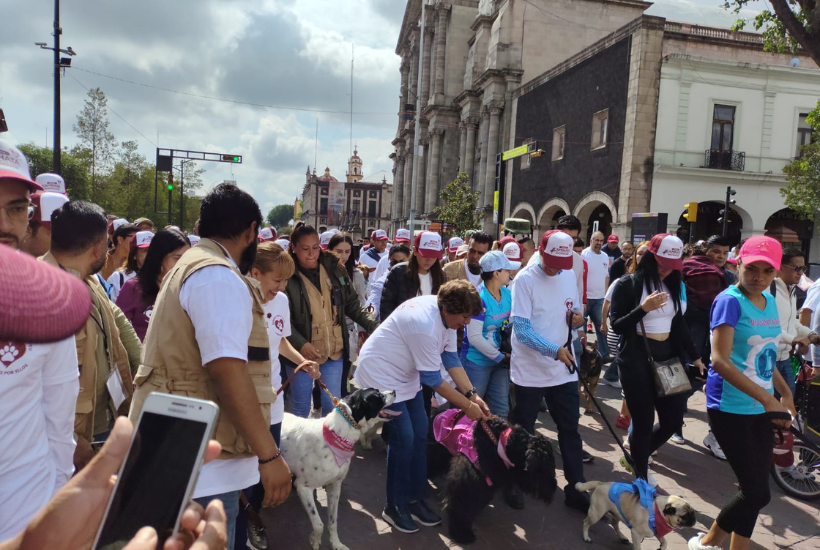 EDOMEX Celebra el Día Mundial del Perro con la Primera Caminata y Caravana por el Bienestar Animal