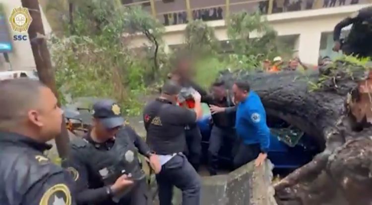 Oficiales de la SSC Salvan la Vida de un Niño Tras Caída de Árbol