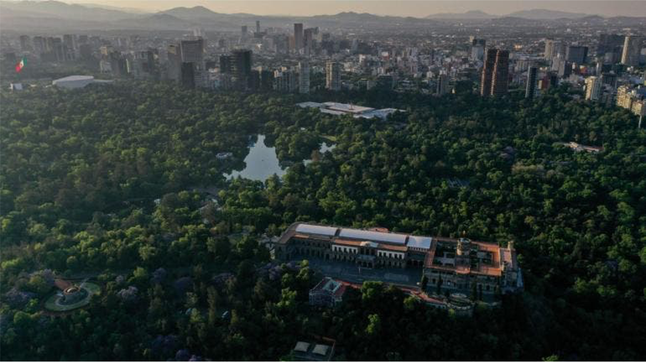 SEDEMA abre consulta pública para el proyecto de manejo del Bosque de Chapultepec