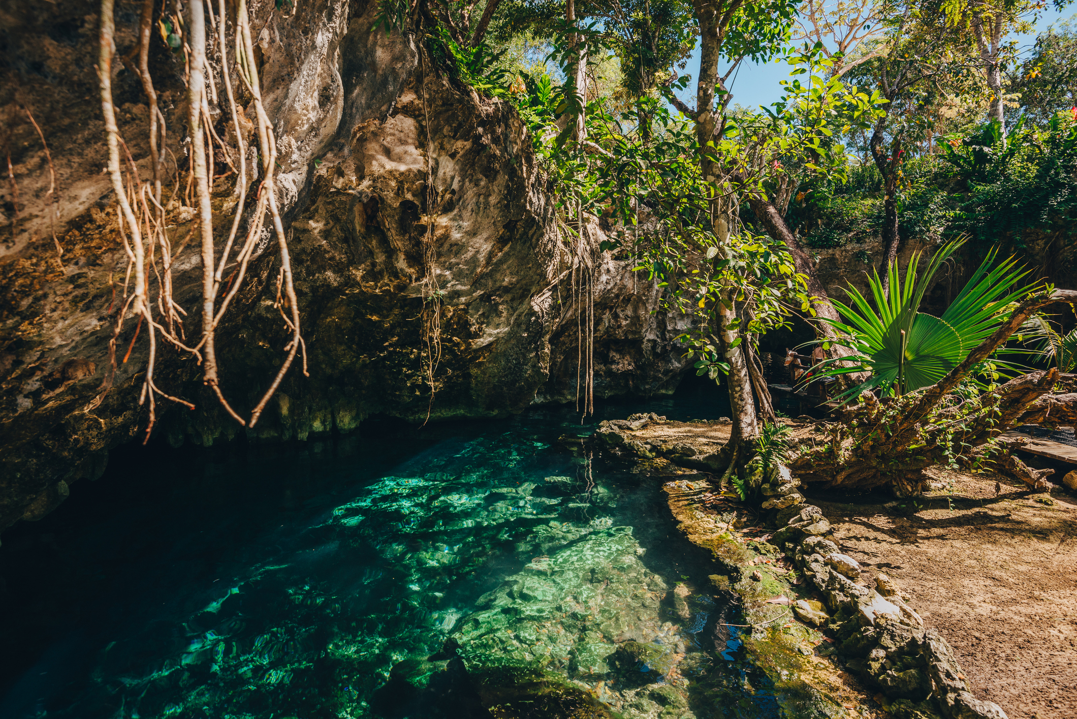 Quintana Roo al frente de la conservación: nueva área protegida en camino