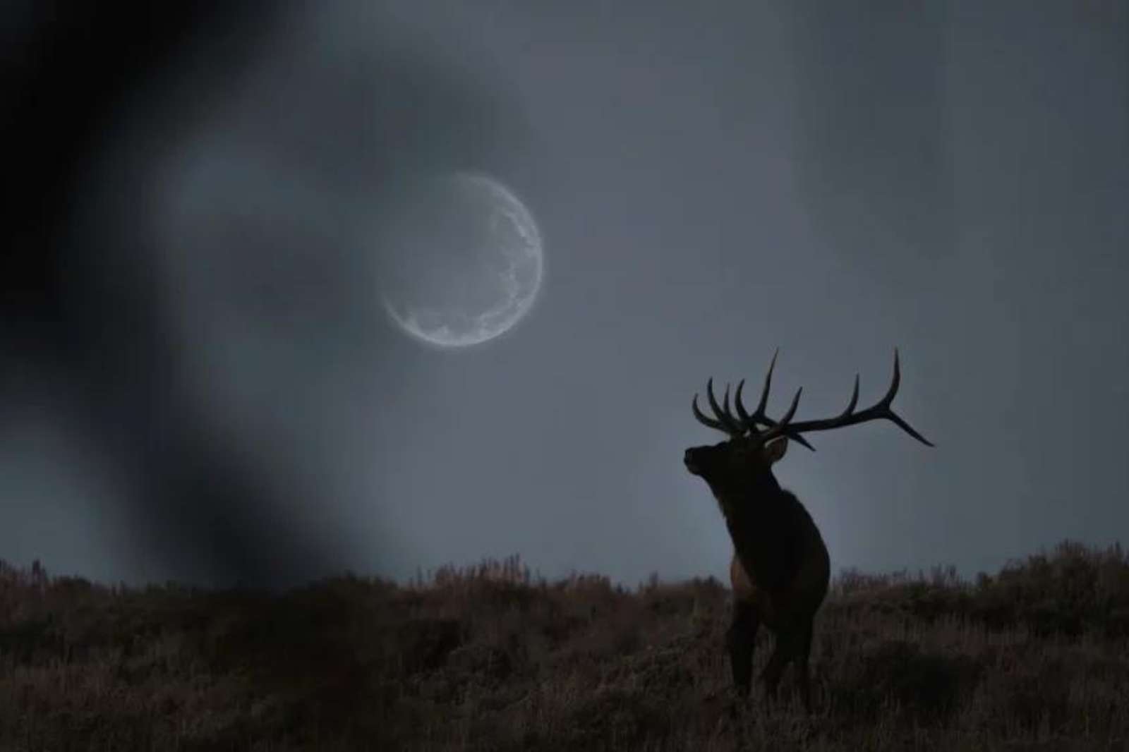 No te pierdas la Luna de Ciervo este julio: Un espectáculo celestial que iluminará la noche