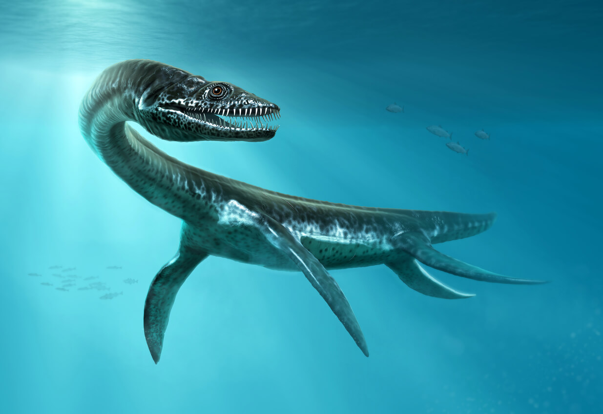 Descubre los misterios de los antiguos reptiles marinos en el nuevo curso de la Universidad de Alberta