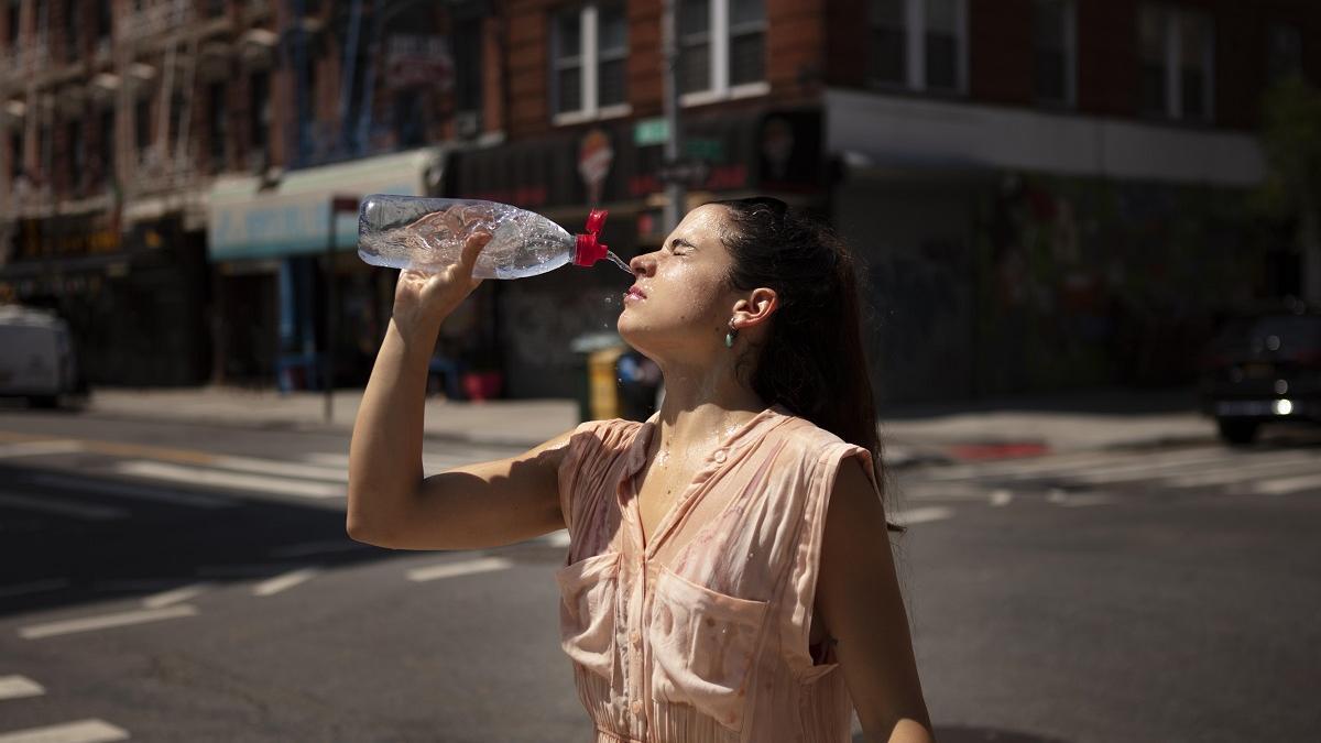 Estrés térmico: cómo identificarlo y aliviarlo en tiempos de calor extremo