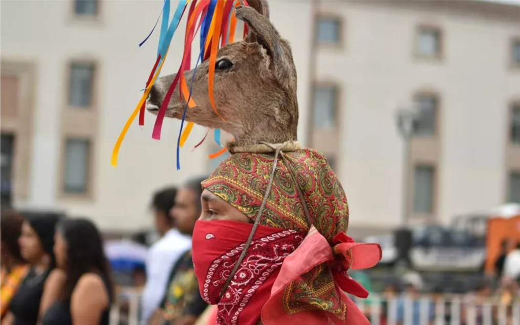 Celebra la riqueza indígena en el 19° Festival Omáwari de Ciudad Juárez: Música, danza y tradición en un solo lugar