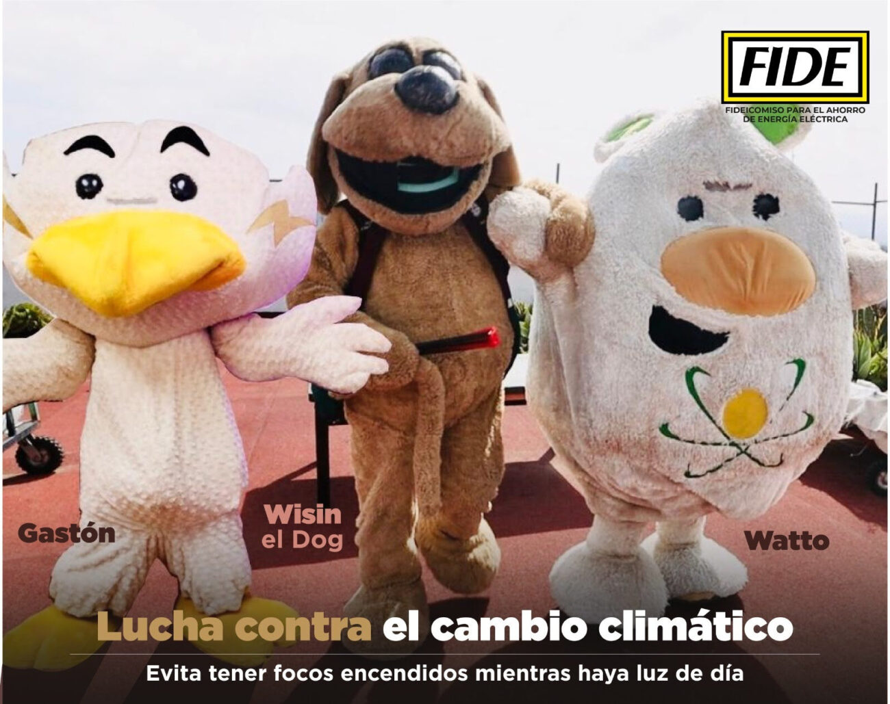 FIDE e INJUVE lanzan campaña para combatir el cambio climático