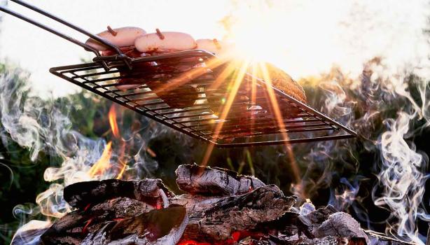 Cómo elegir la mejor leña para un asado perfecto