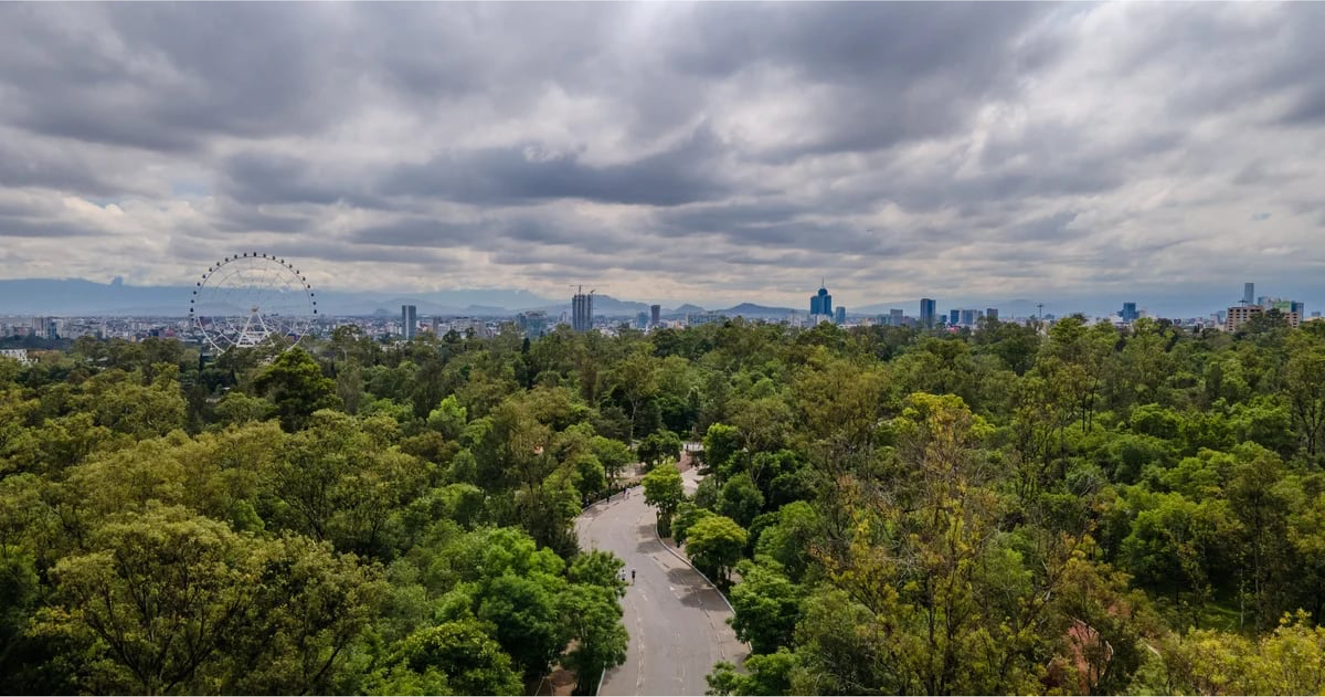 ¡Llega el Festival Chapultepec Naturaleza y Cultura 2024 con más de 100 actividades para toda la familia!