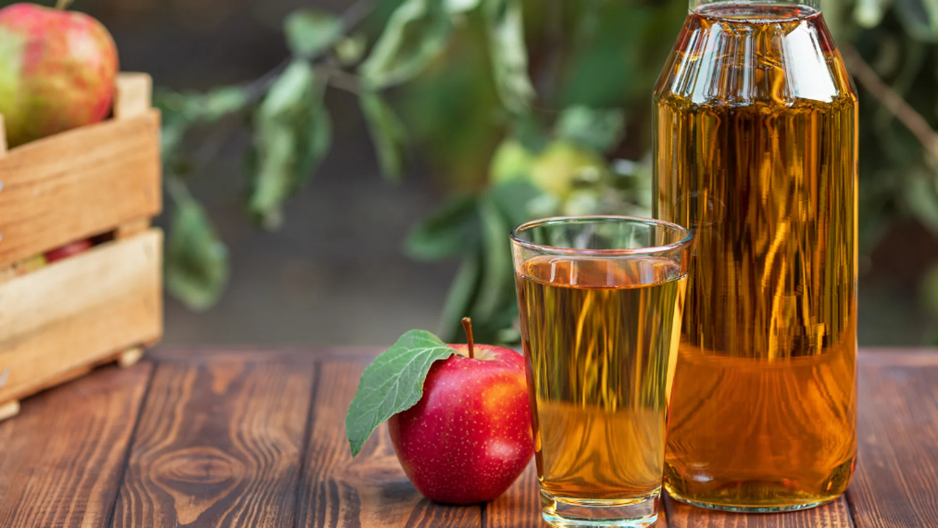 Agua con vinagre de manzana en ayunas: ¿es realmente beneficioso?