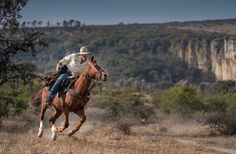 Coyote Canyon Adventures: la mejor experiencia de ecoturismo en San Miguel de Allende