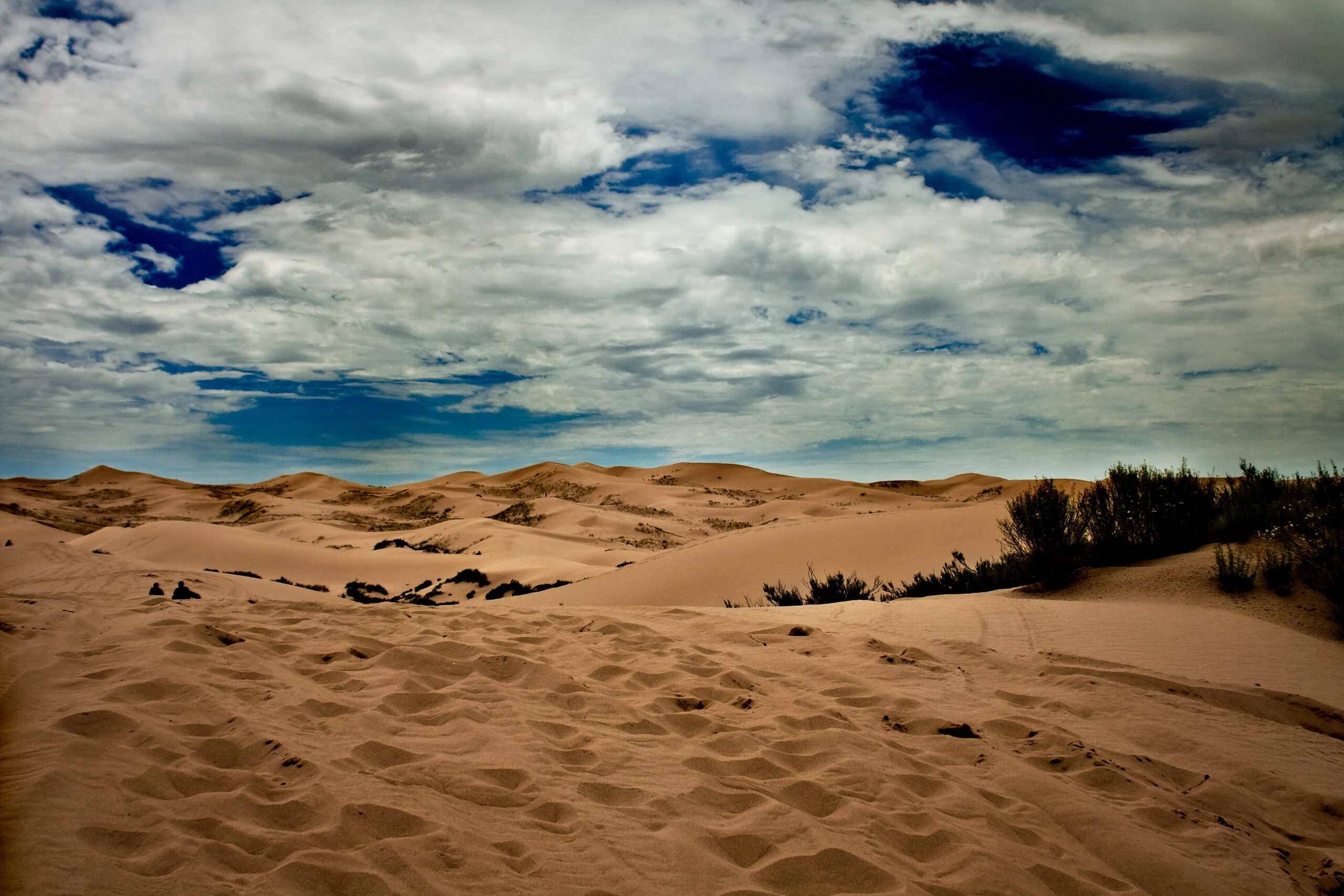 Vive la aventura extrema en las Dunas de Samalayuca: descubre todo lo que puedes hacer