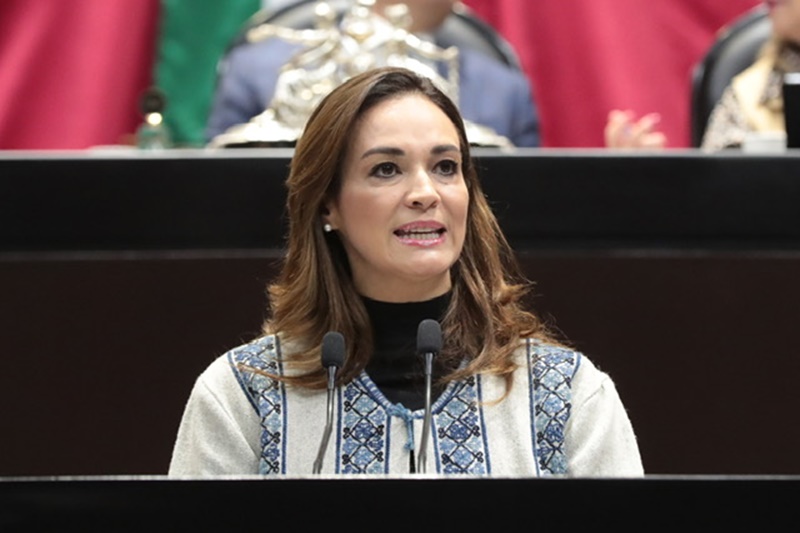 La Diputada Ortiz Pérez lucha por la pluralidad en el Congreso